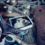 3 Things Christian Women Need to Know About Miscarriage